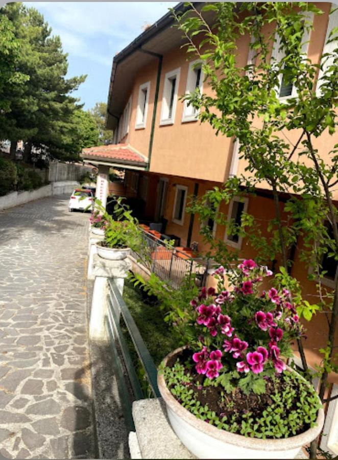Santangelo Hotel Mattinata Εξωτερικό φωτογραφία
