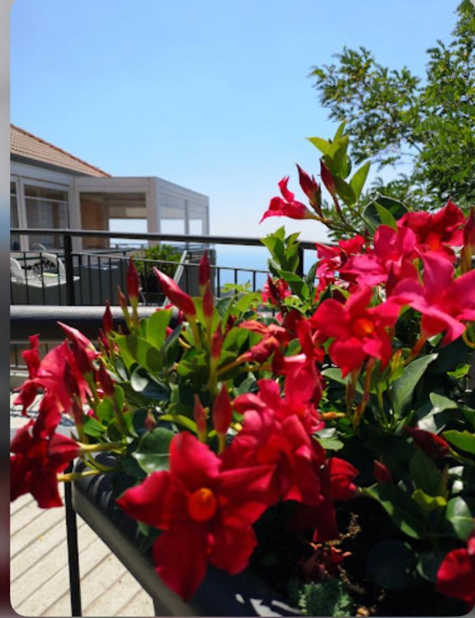 Santangelo Hotel Mattinata Εξωτερικό φωτογραφία
